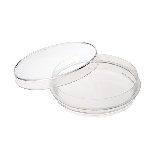 buy online 	Petri Dish Non Trated - Nuova 100 X 20 Mm  Qatar Doha