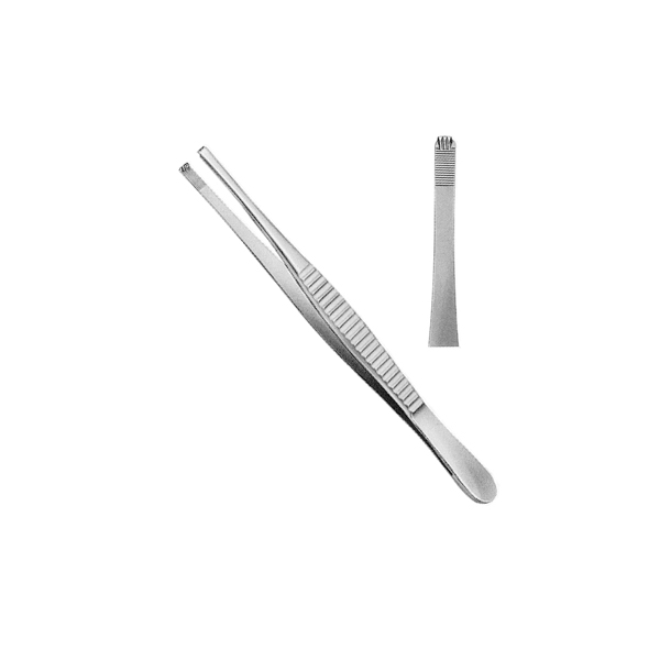 buy online 	Forceps Toothed - Is Intl 14 Cm  Qatar Doha