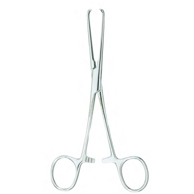 shop now Forceps Tissue - Era  Available at Online  Pharmacy Qatar Doha 