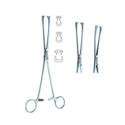 shop now Forceps Museux - Is Intl  Available at Online  Pharmacy Qatar Doha 